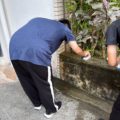 花壇の清掃